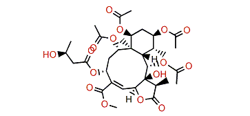 Erythrolide S